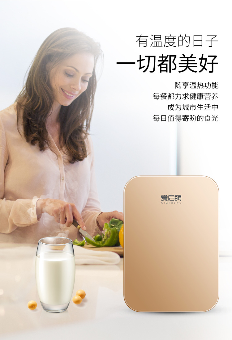 车载冰箱_03.jpg