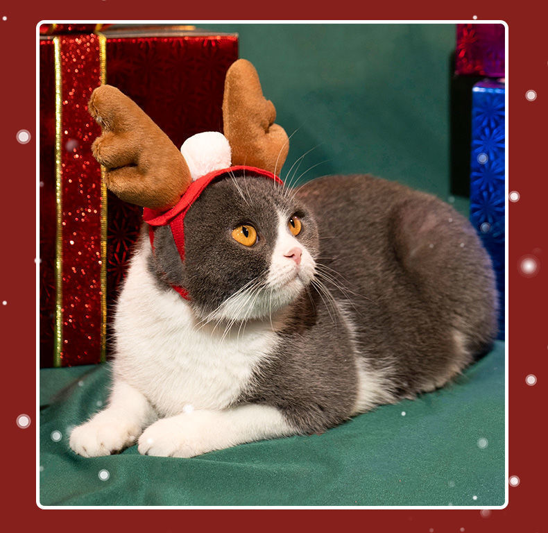 d8d2dd76-7813-4c2e-a42c-1a30d96f0931.jpe