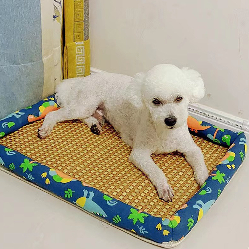 44471e38-6fb0-4397-8a85-10451d2cfd9e.jpe