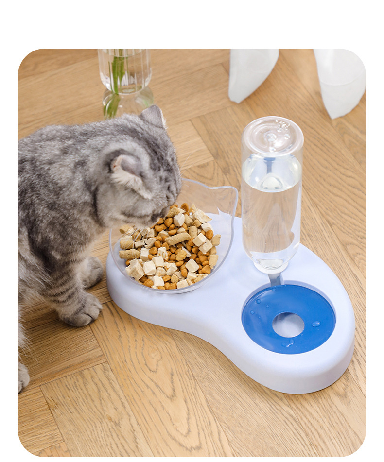 宠物碗_13.jpg?x-oss-process=image/format,png