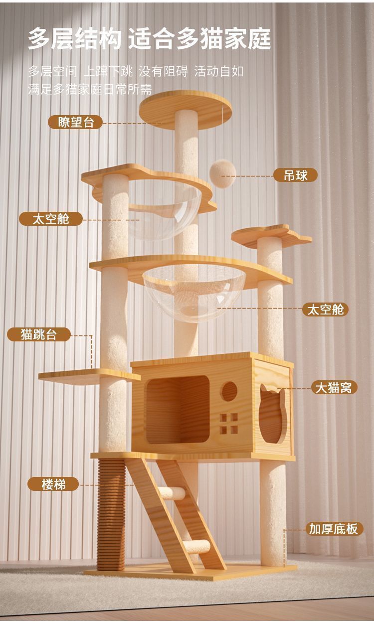 3689cc27-d196-4a72-876e-37cd736a22e6.jpe