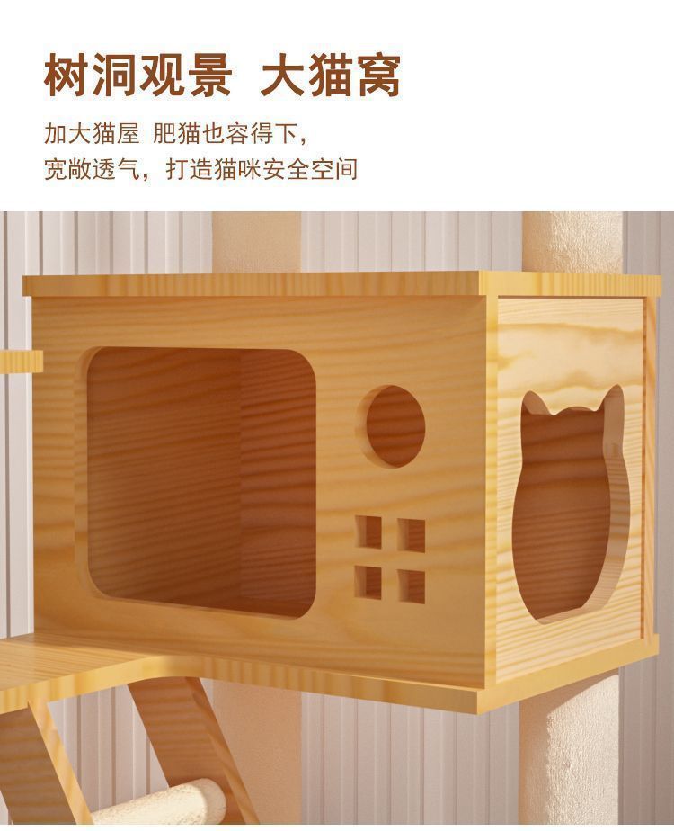 c3ed5a61-a8bd-4634-9dfd-55d4c13ebde6.jpe