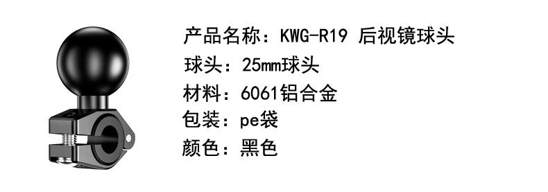 R19详情