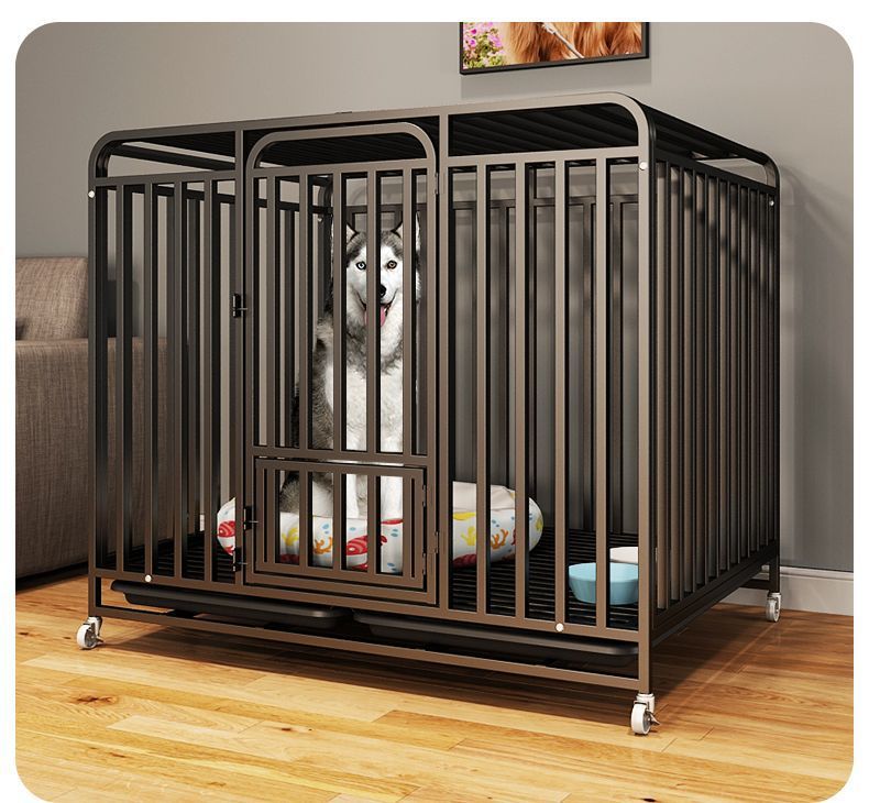 3367d573-456e-43d8-9624-12ae65869484.jpe