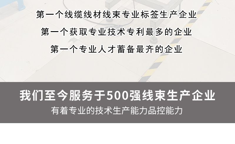 线束详情_03.jpg