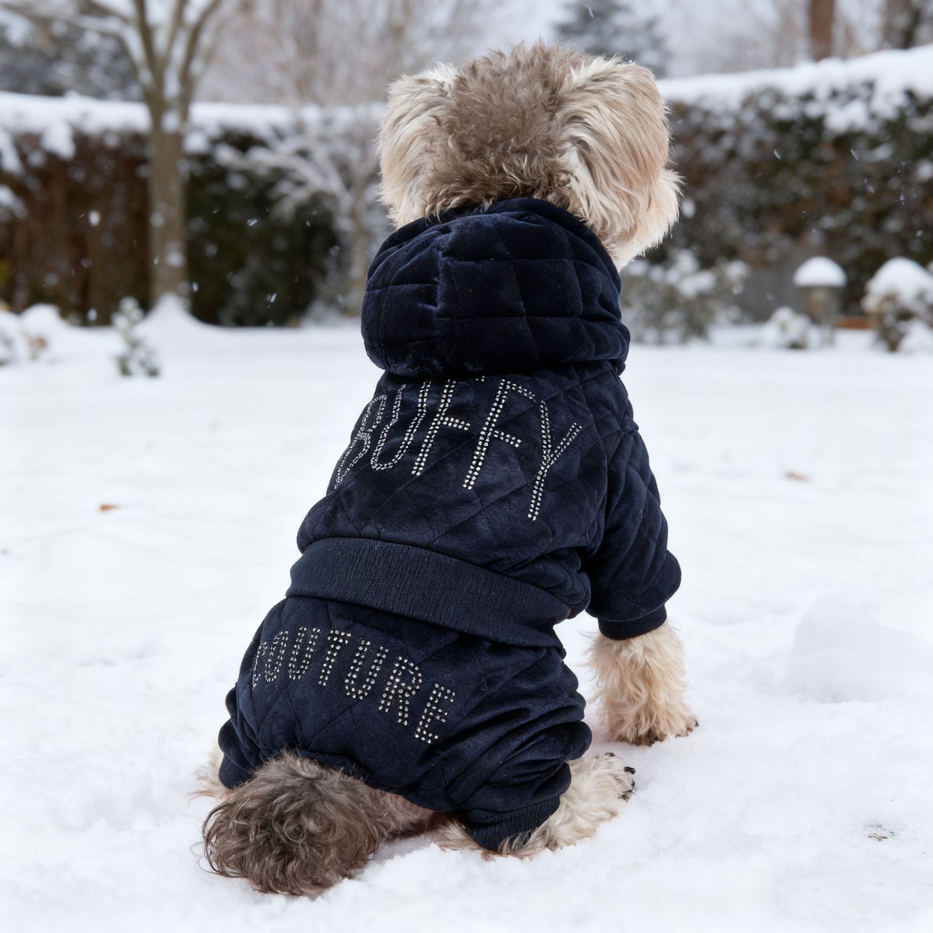 微信图片_20251025120552_143_297