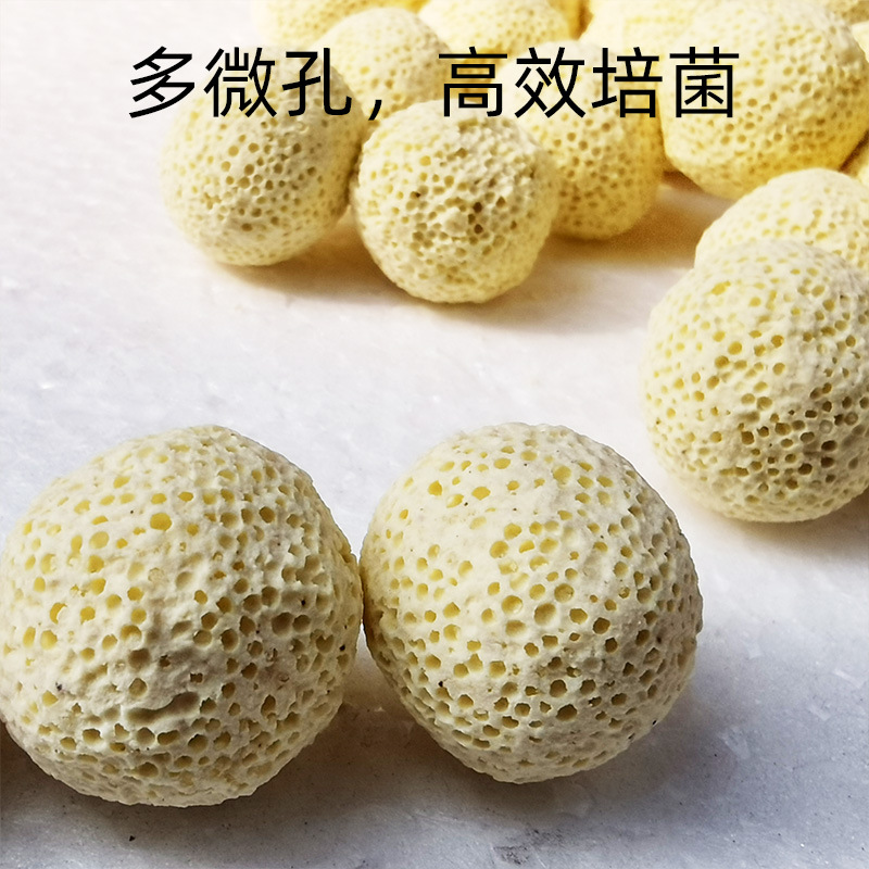 细菌球3