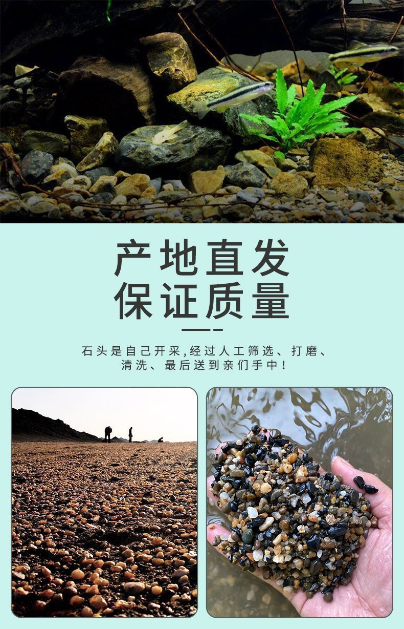 3306e6e3-67d1-4caf-908f-bec3b78410d3.jpe