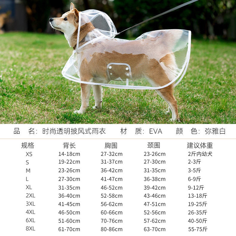 ed2eed42-3982-4f1d-9dc5-9526722cd768.jpe