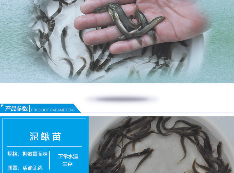 f1fdd9bc-9f90-4ea4-a14a-e7746b66cd8e.jpe