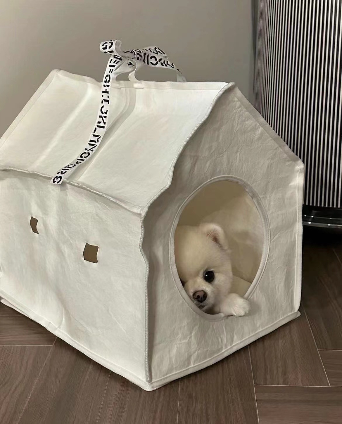 微信图片_20230725170202