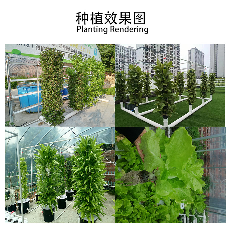 种植效果图