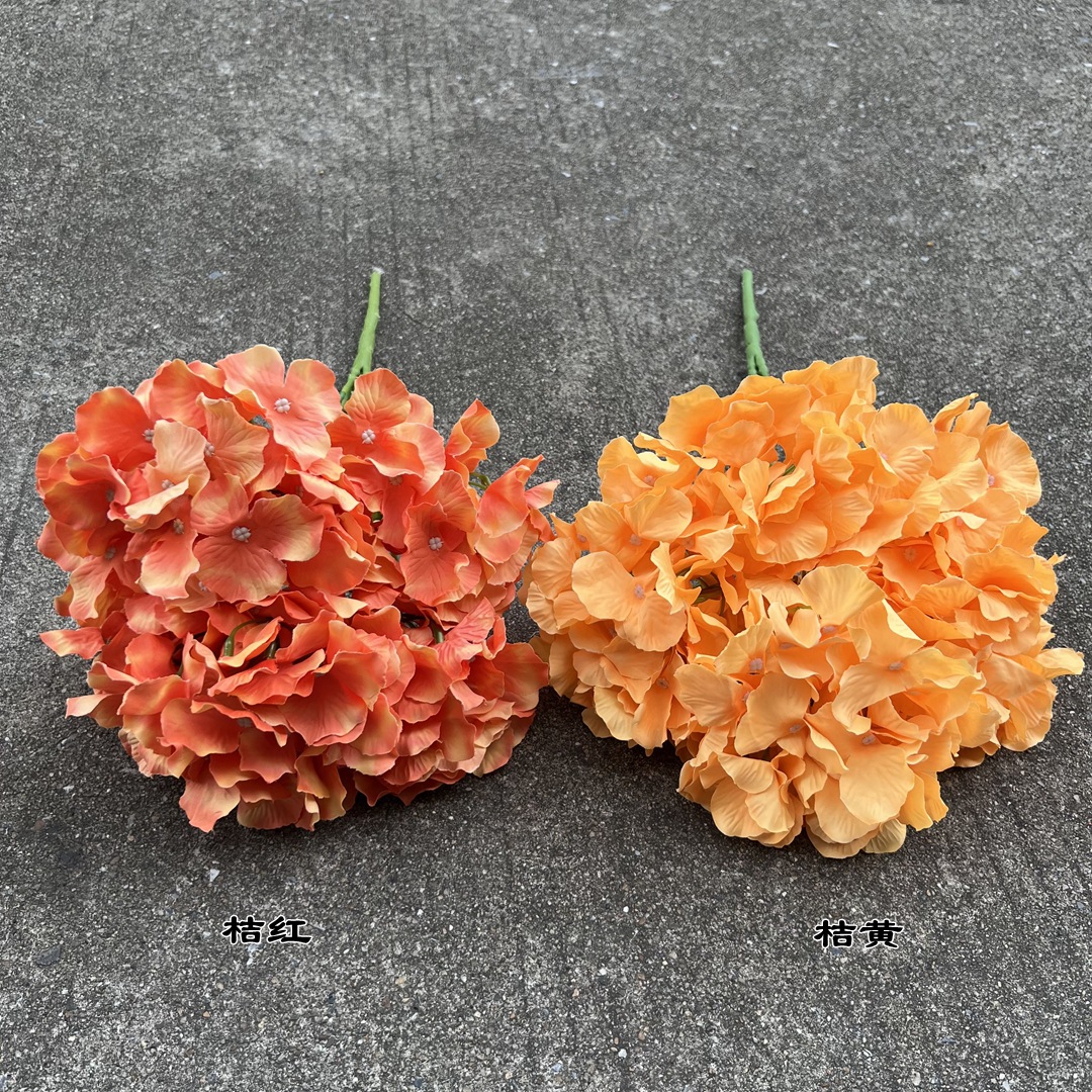 微信图片_20220818113619