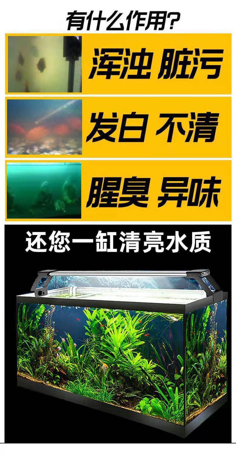 017e9285-685e-4116-a945-fcbeb84bcb3c.jpe