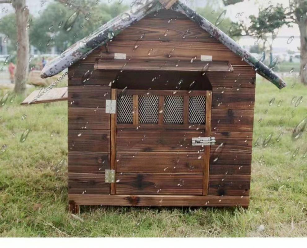 c201e805-3c15-45ab-ac5f-bc4b457ff5db.jpe