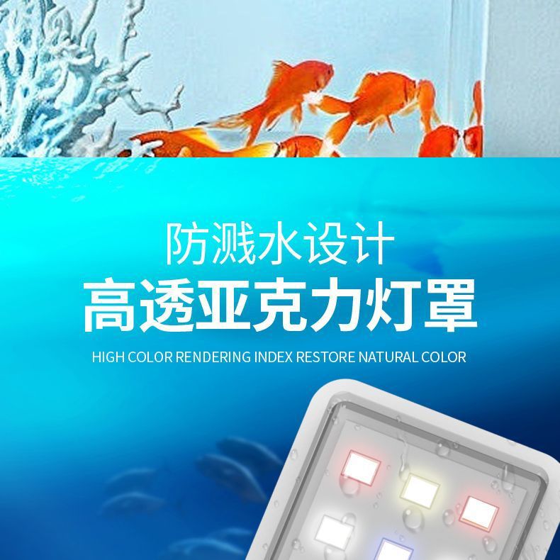 951f639b-25c1-499e-8472-c098affc56b5.jpe