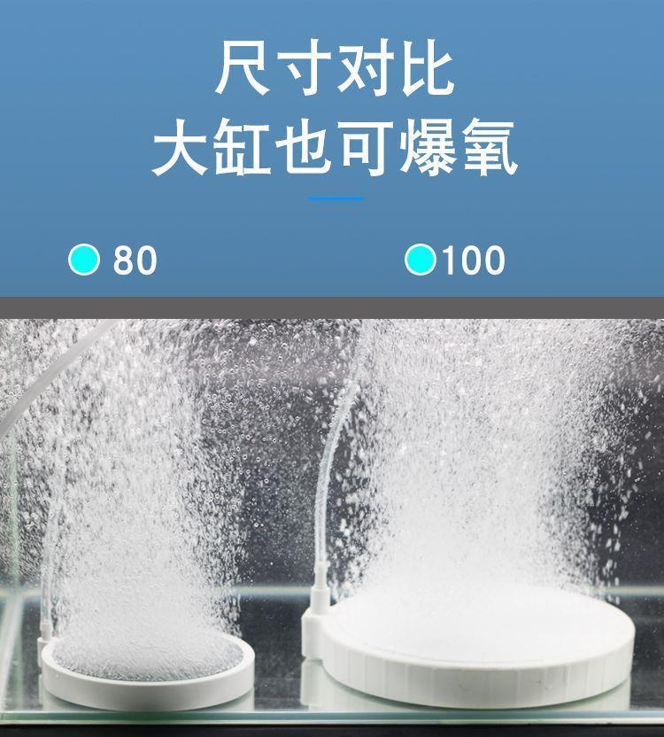 31b1a68a-ea5a-4125-8a22-ee98939c22b7.jpe