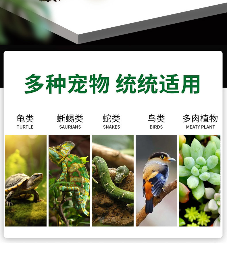 a05b9269-3c48-4a3e-8b63-35371b50ea06.jpe
