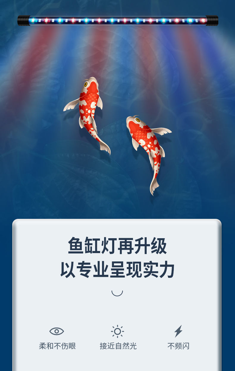 8e88f5e2-9614-4a3a-8e3c-c0f79bbb8cc5.jpe