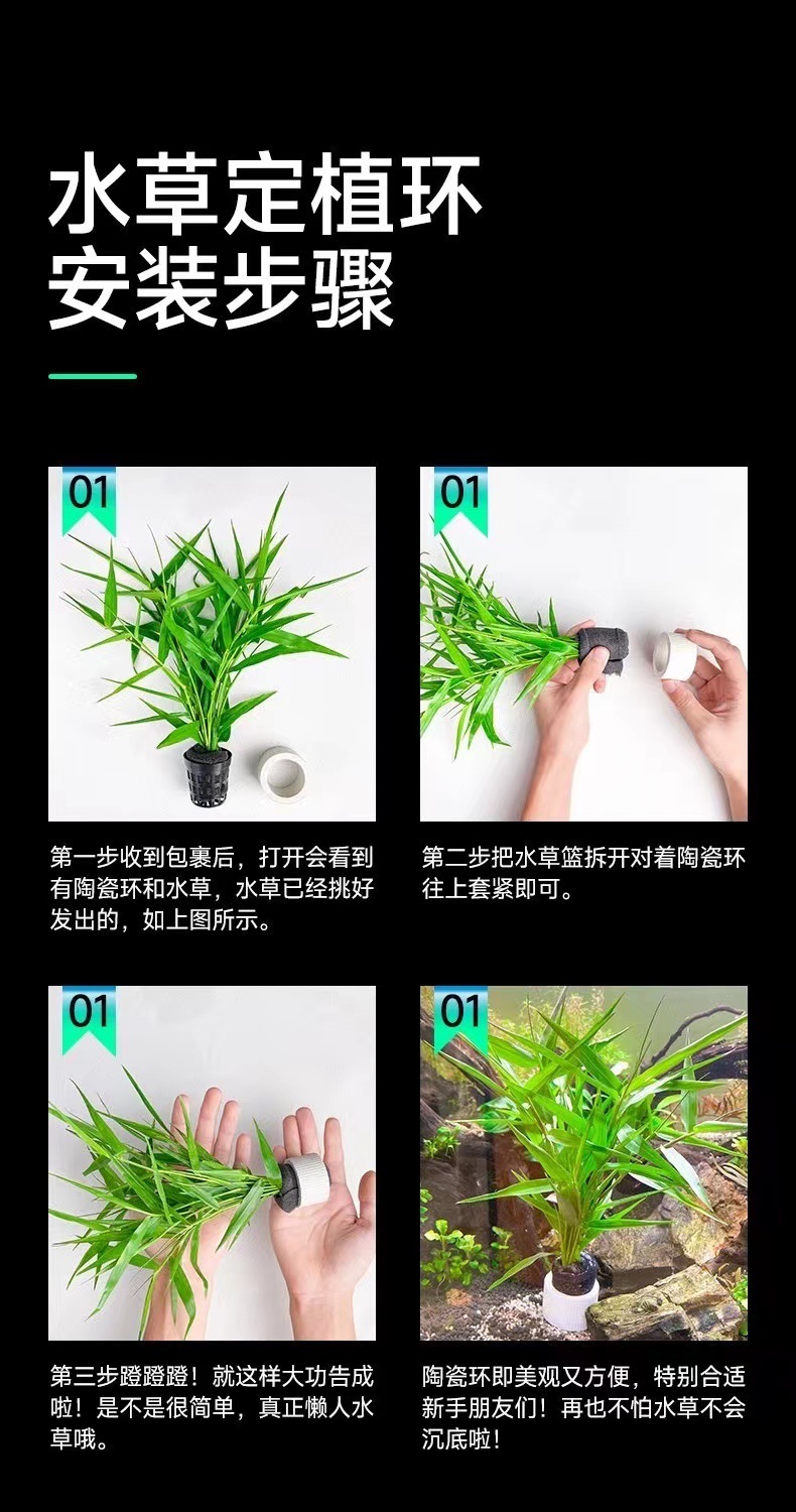 ea9c3585-9e36-4634-bc91-3714d54c11da.jpe