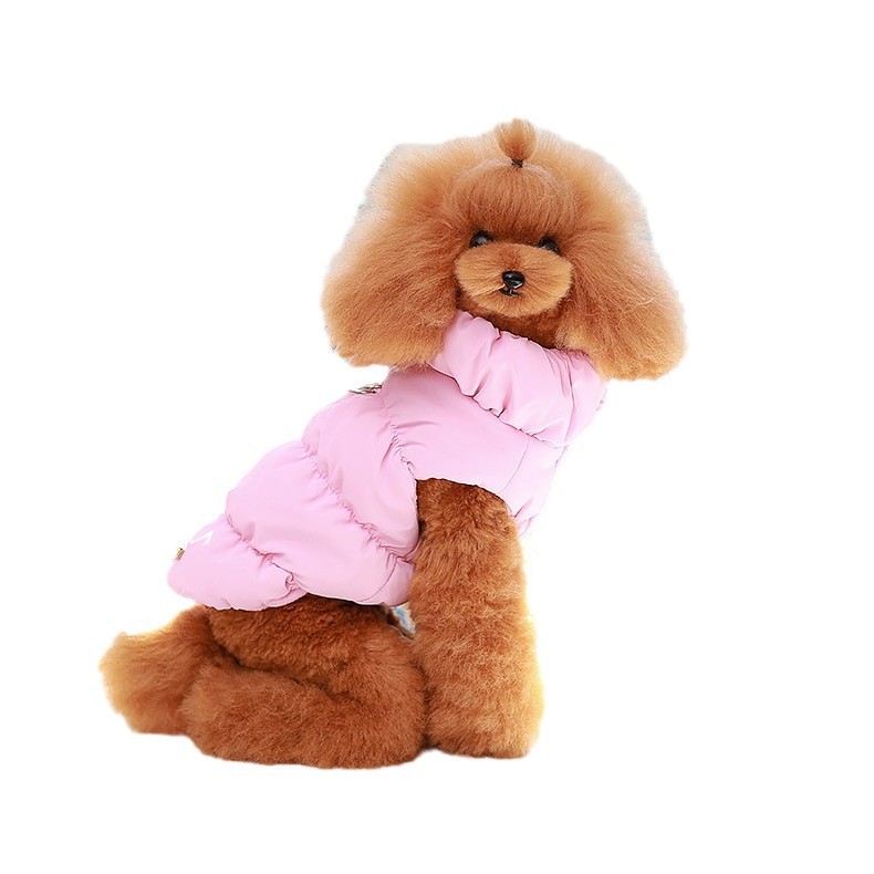 2024-11-19 12:47:36.jpg