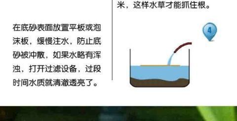 8917a338-2f94-4c99-85b9-9d56be994e5e.jpe