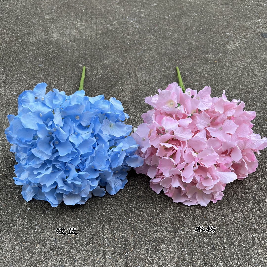 微信图片_20220818113624