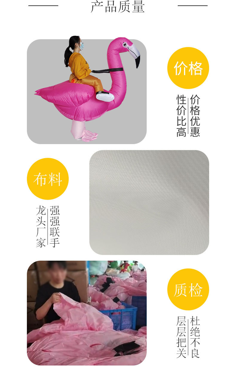 火烈鸟_03