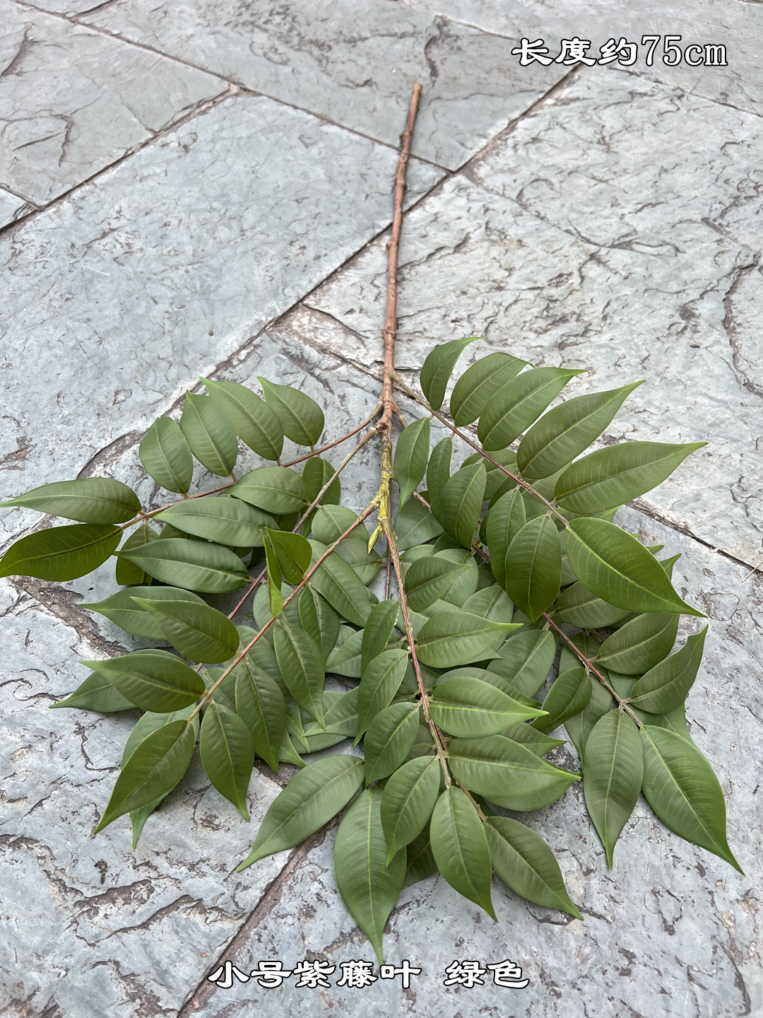 微信图片_20230323180054_副本