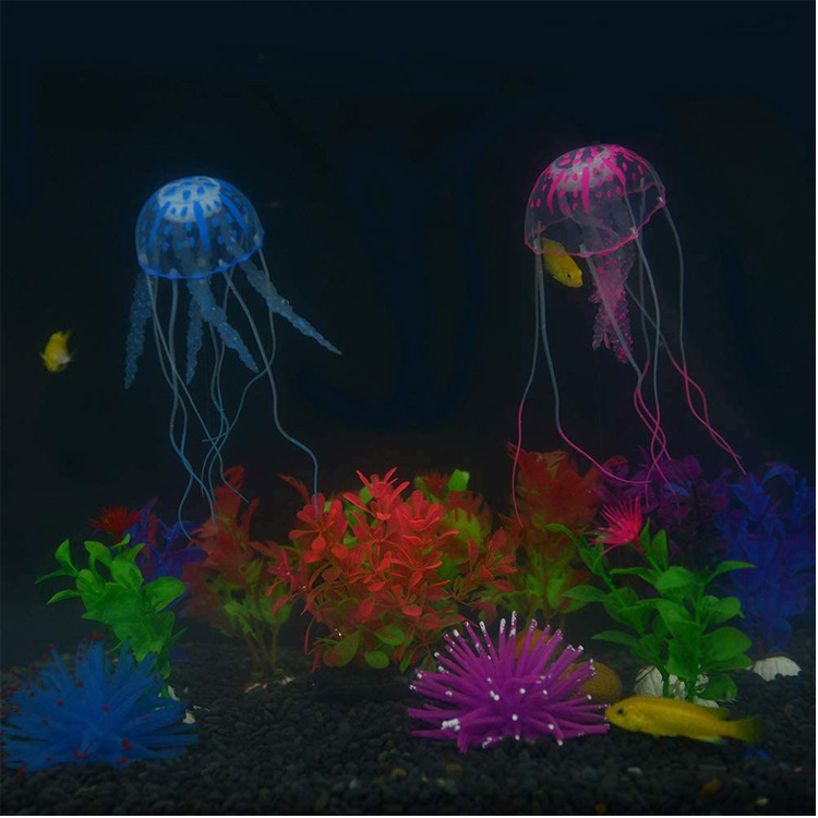 616FOqXnrdL._AC_SL1000_