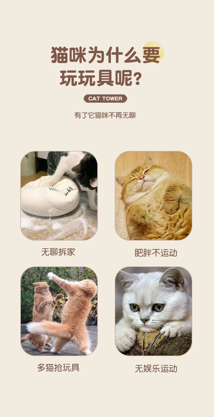 50438d33-e3bb-4df3-92ec-5b5bd7b36ff5.jpe