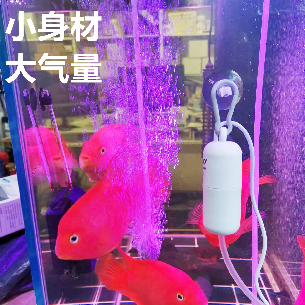 微信图片_20230523170431