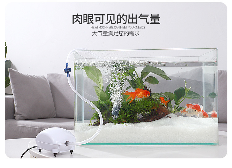 氧气泵_06.jpg