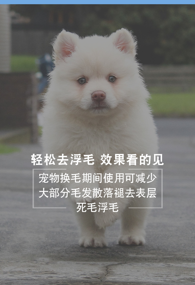 锌合金开结梳_21.jpg