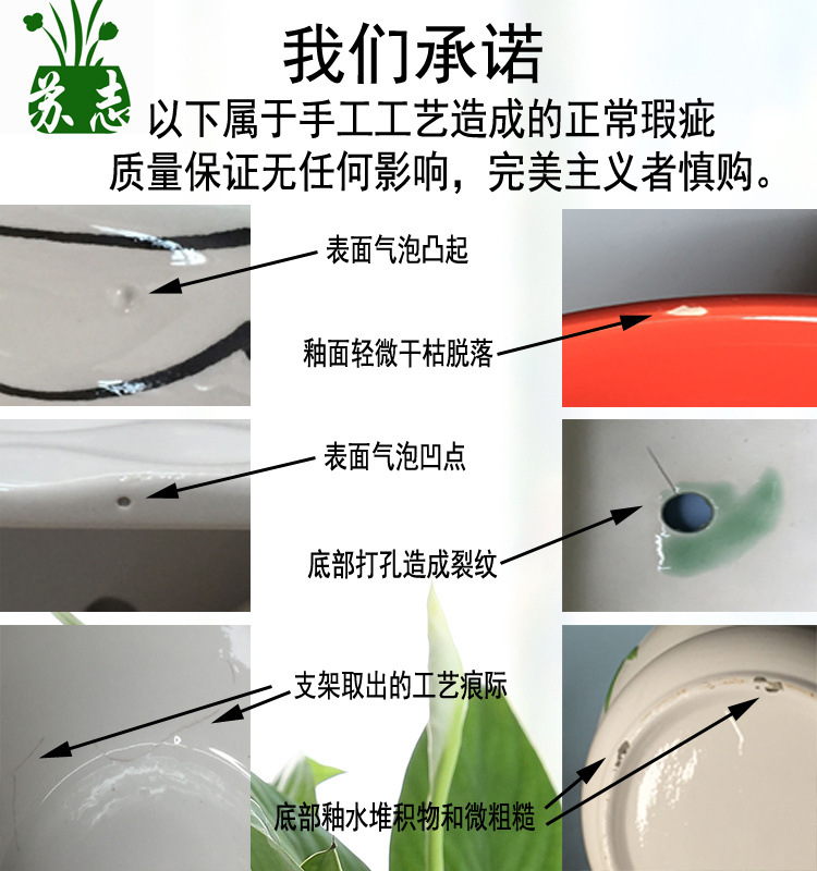 4f9076de-6dba-406c-a5c8-89bf74f7c672.jpe
