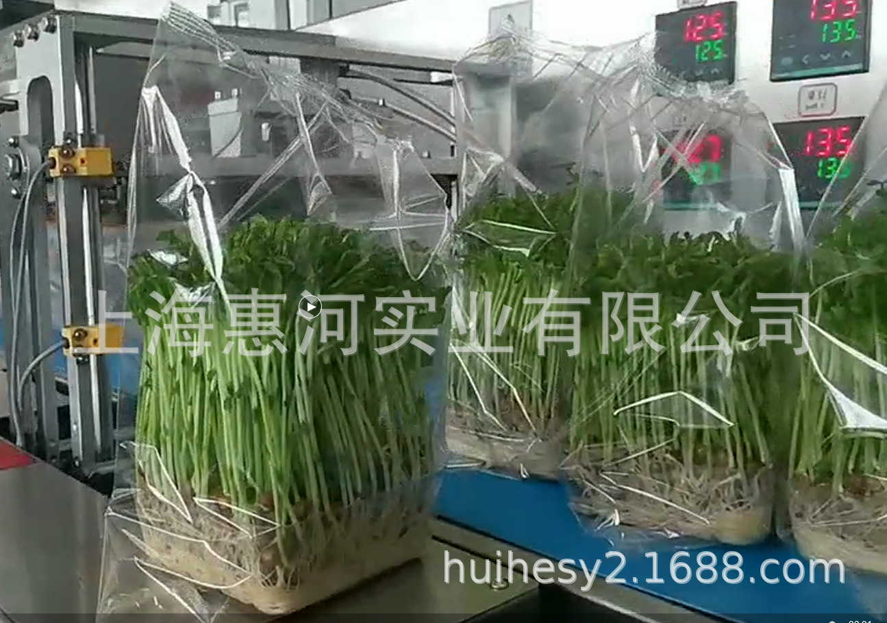 鲜绿豆芽