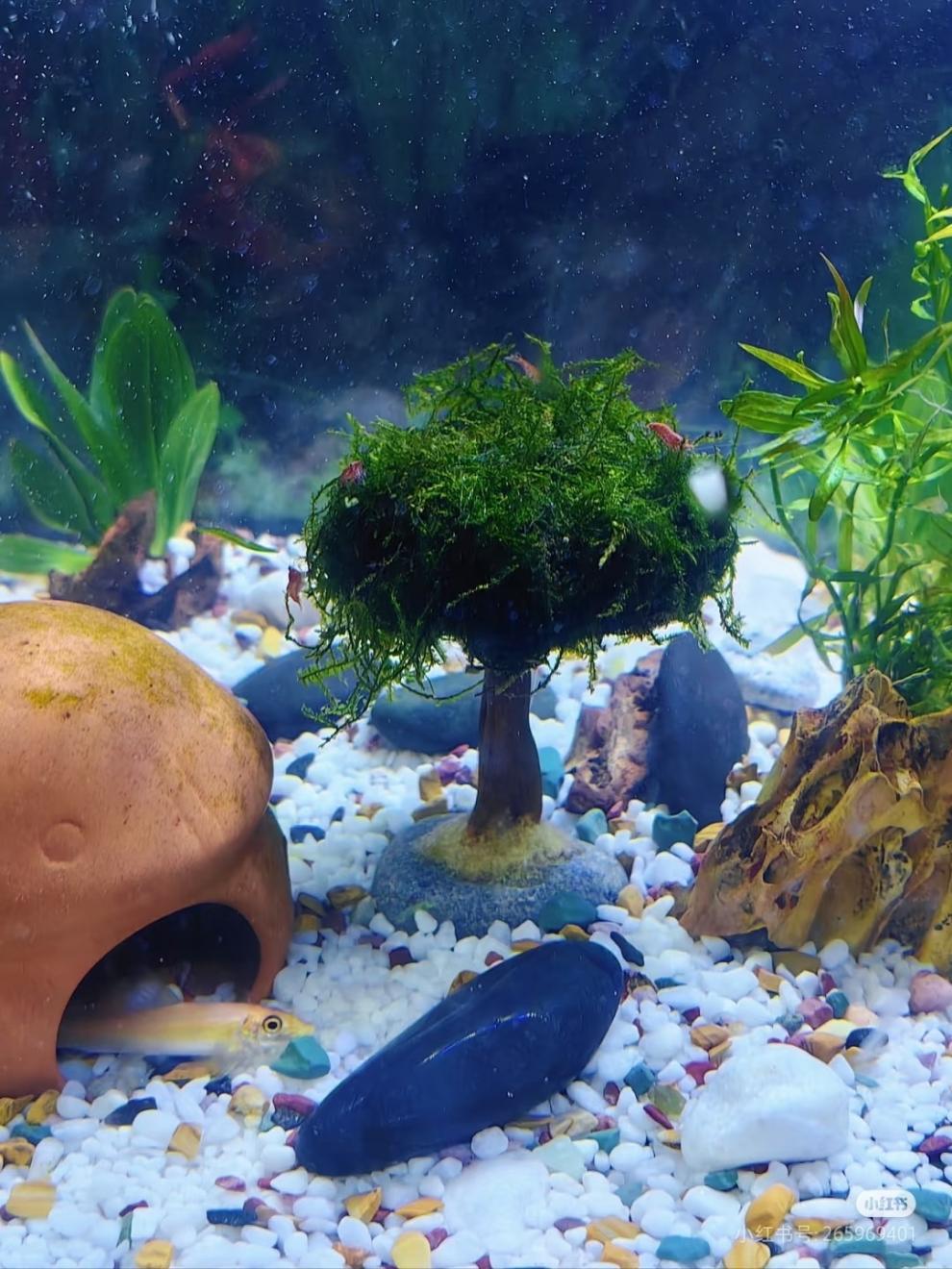 0d7a0f67-e6f6-46d3-ba3e-e8047f0bb82d.jpe