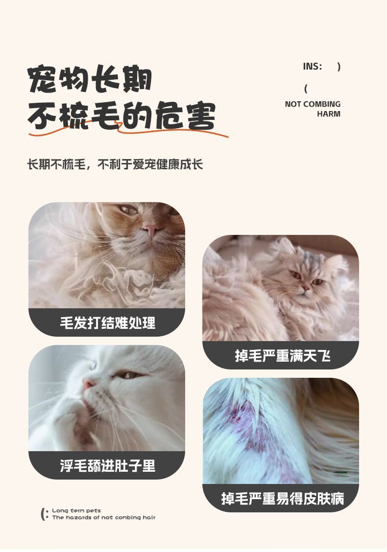 69914dae-5e45-45d4-ba10-37d8dbeb9507.jpe