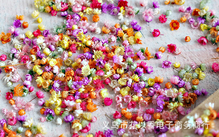 小星花花头—义乌花以香