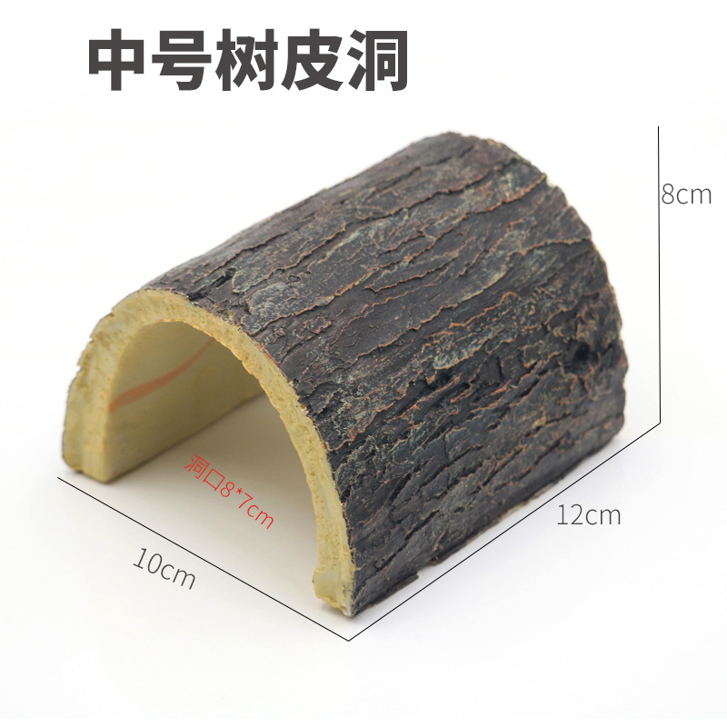 中号树皮洞