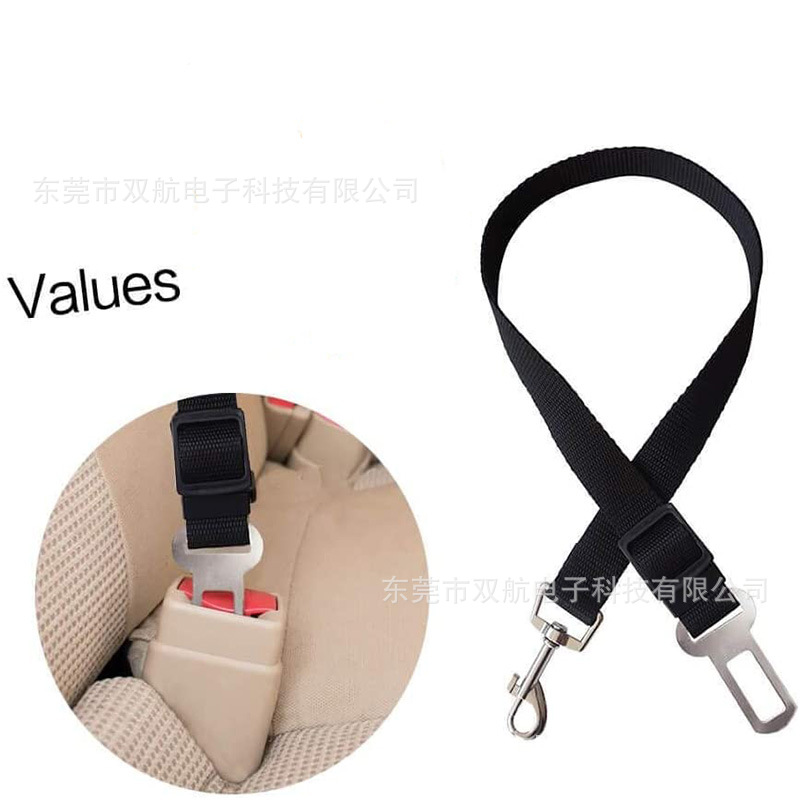 51RFZdbxDOL._AC_SL1000_