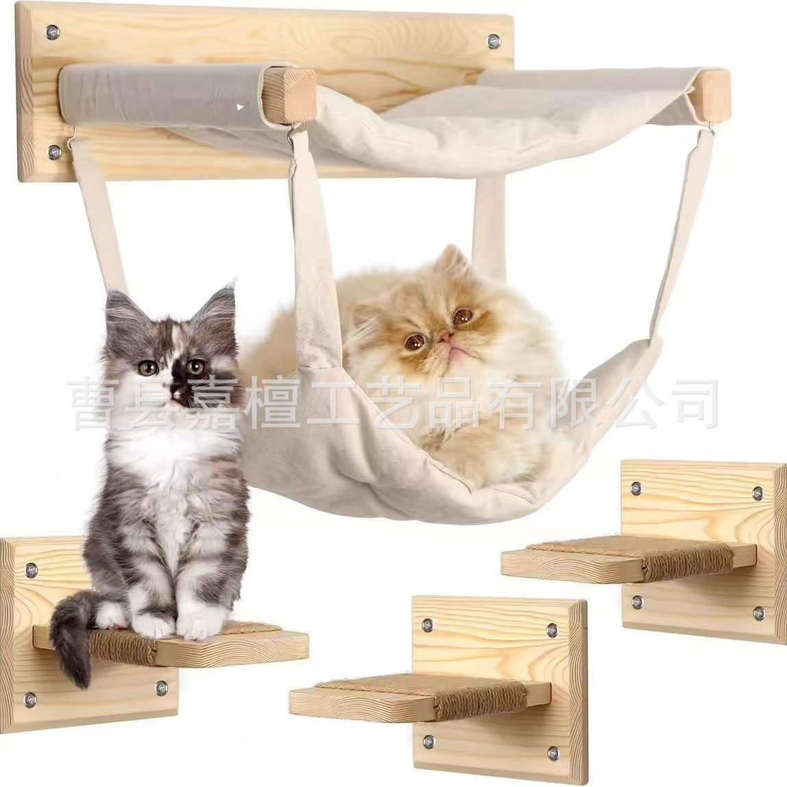 微信图片_20250414171245