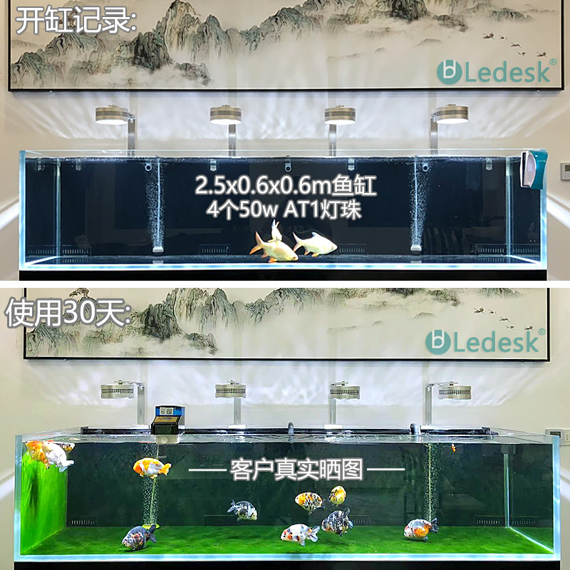 爆苔副本.jpg
