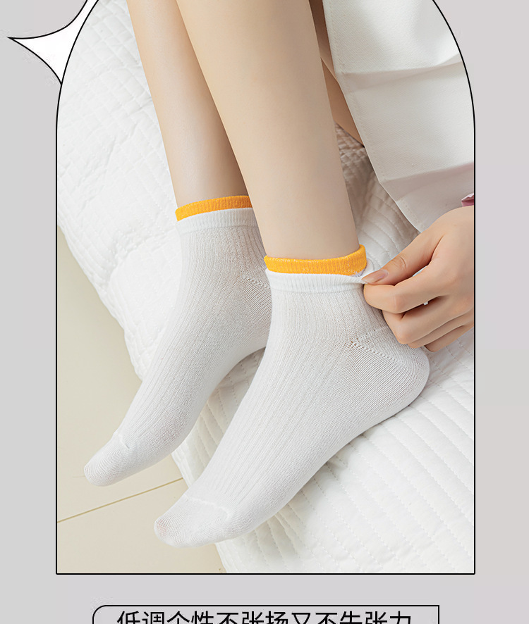 一键复制_20240410180251