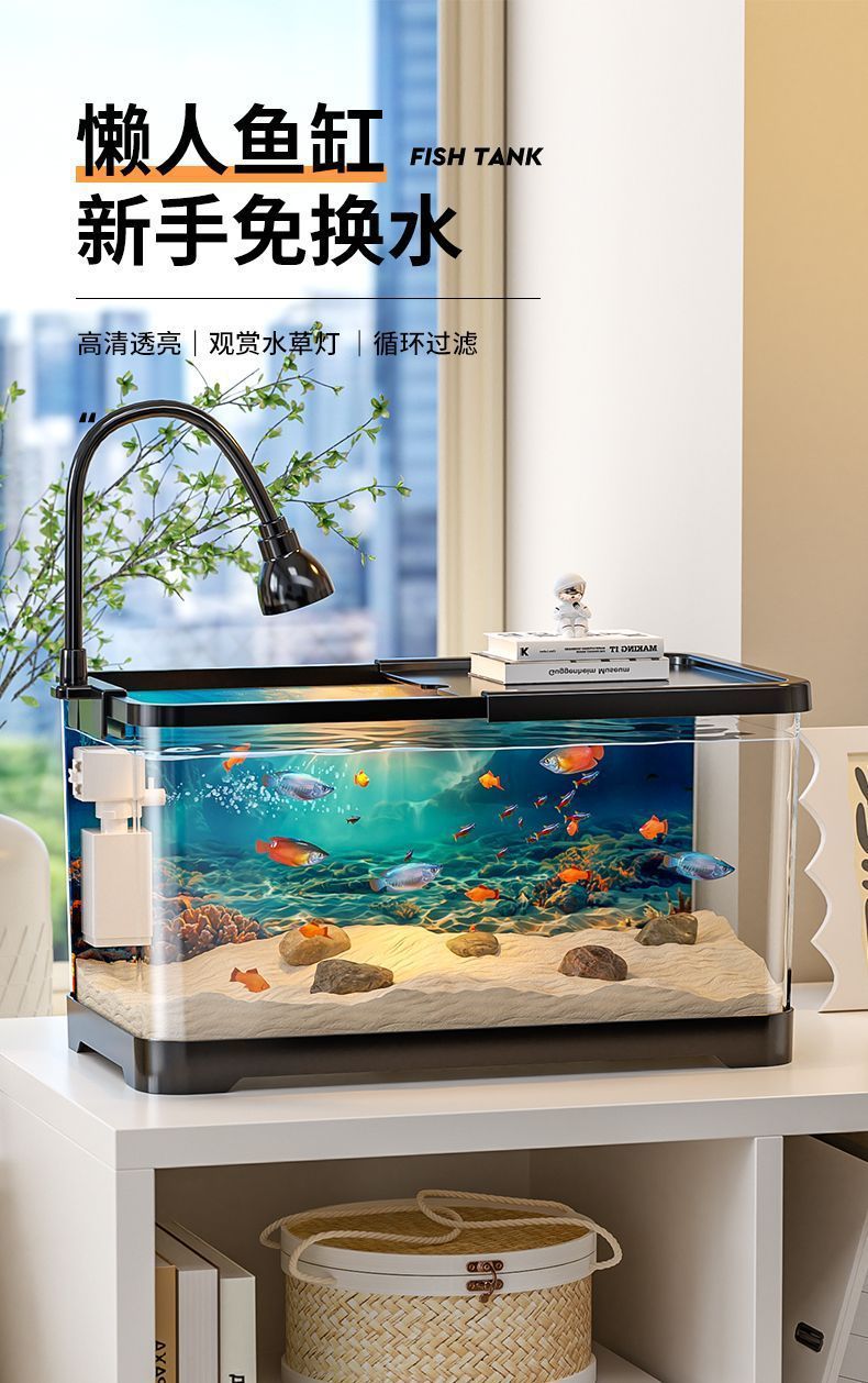 e4a28811-f06b-4f50-9ae7-70c02d605d46.jpe