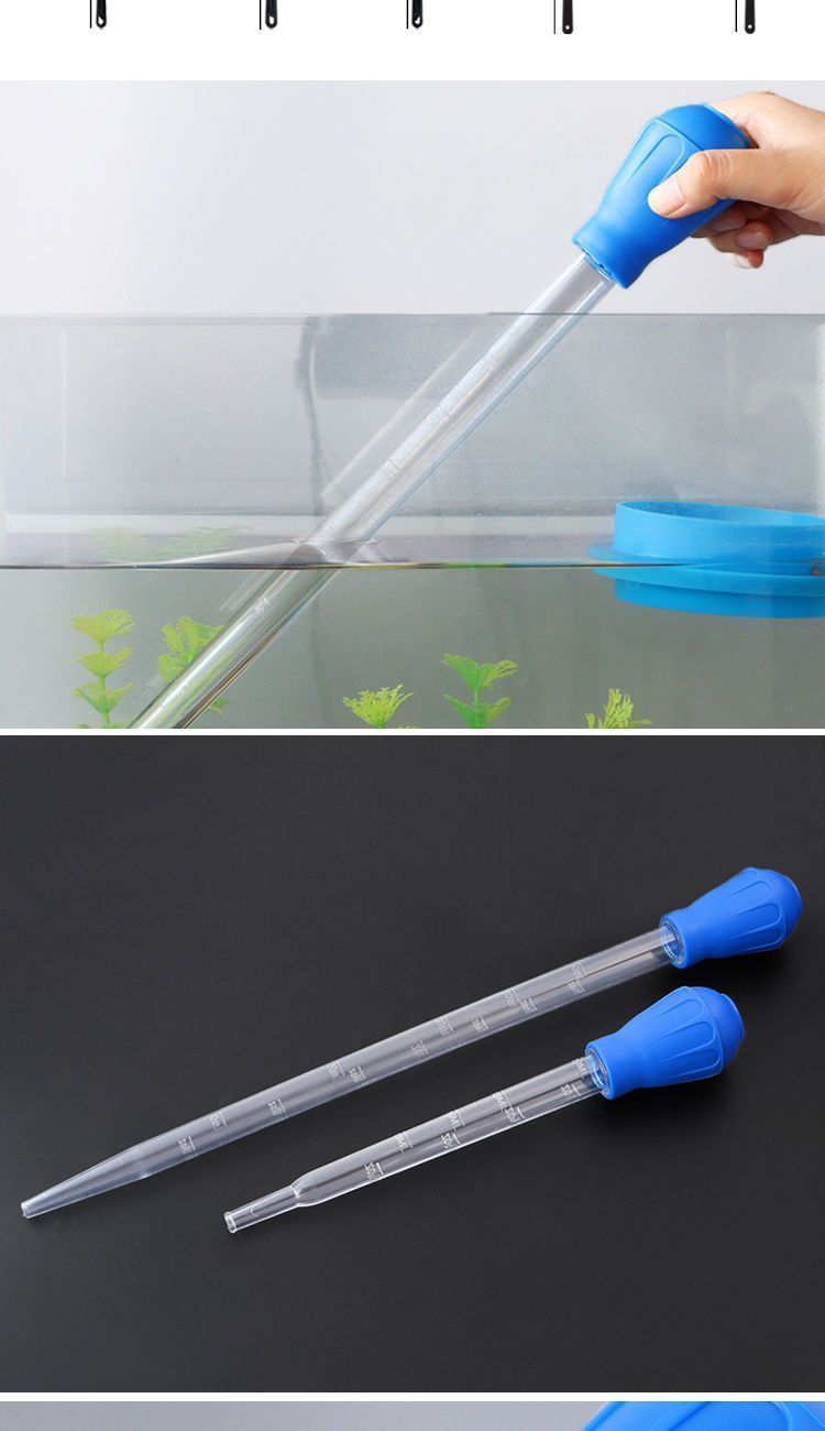 ee7e2340-6018-472c-af0d-e1ed09ffa2e4.jpe