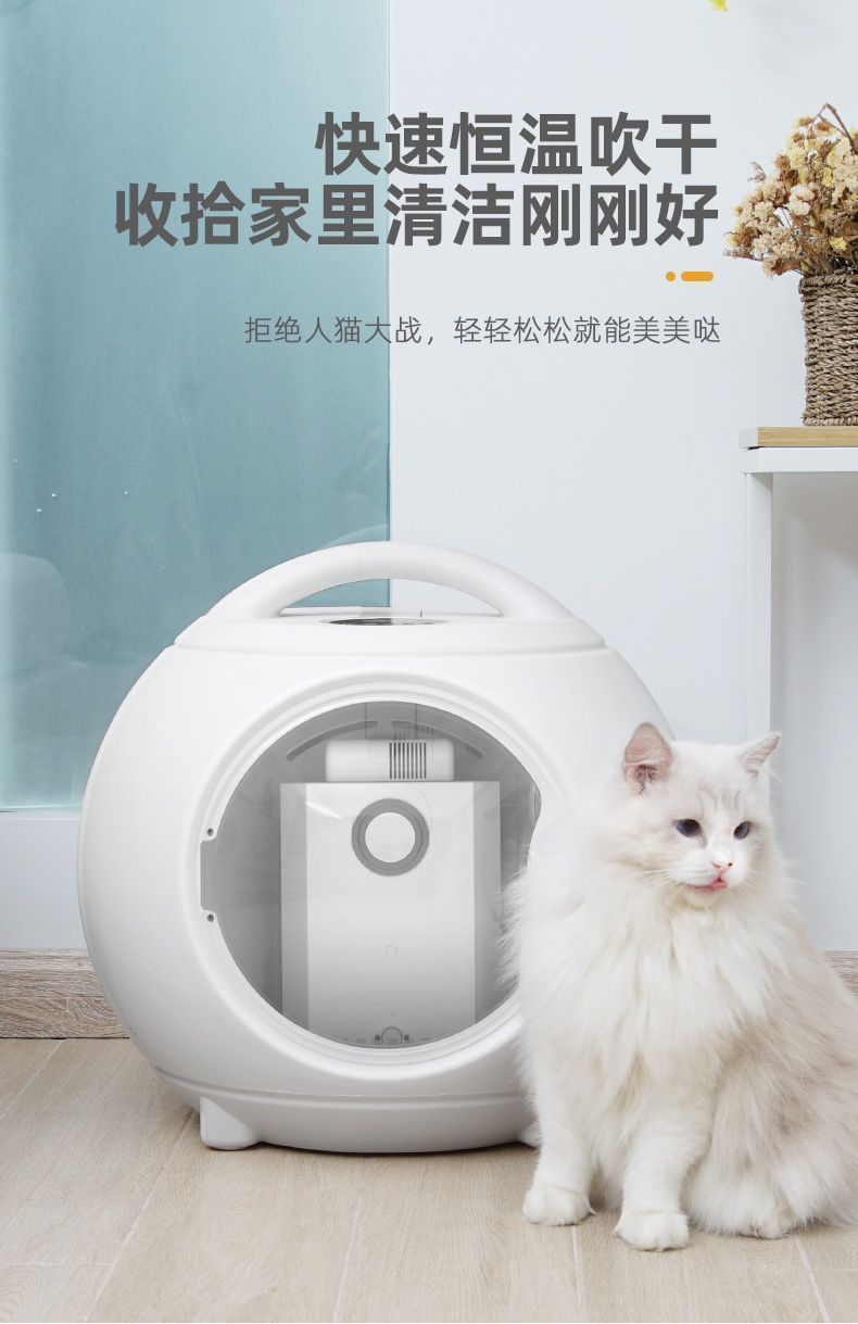 5f0f6939-0144-4b56-99e5-83e606362545.jpe