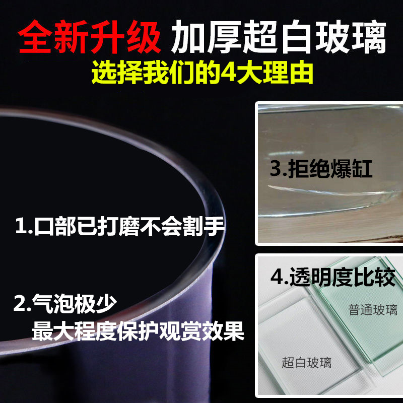 O1CN01F4FMFF1zyfA3K1MiT_!!1786