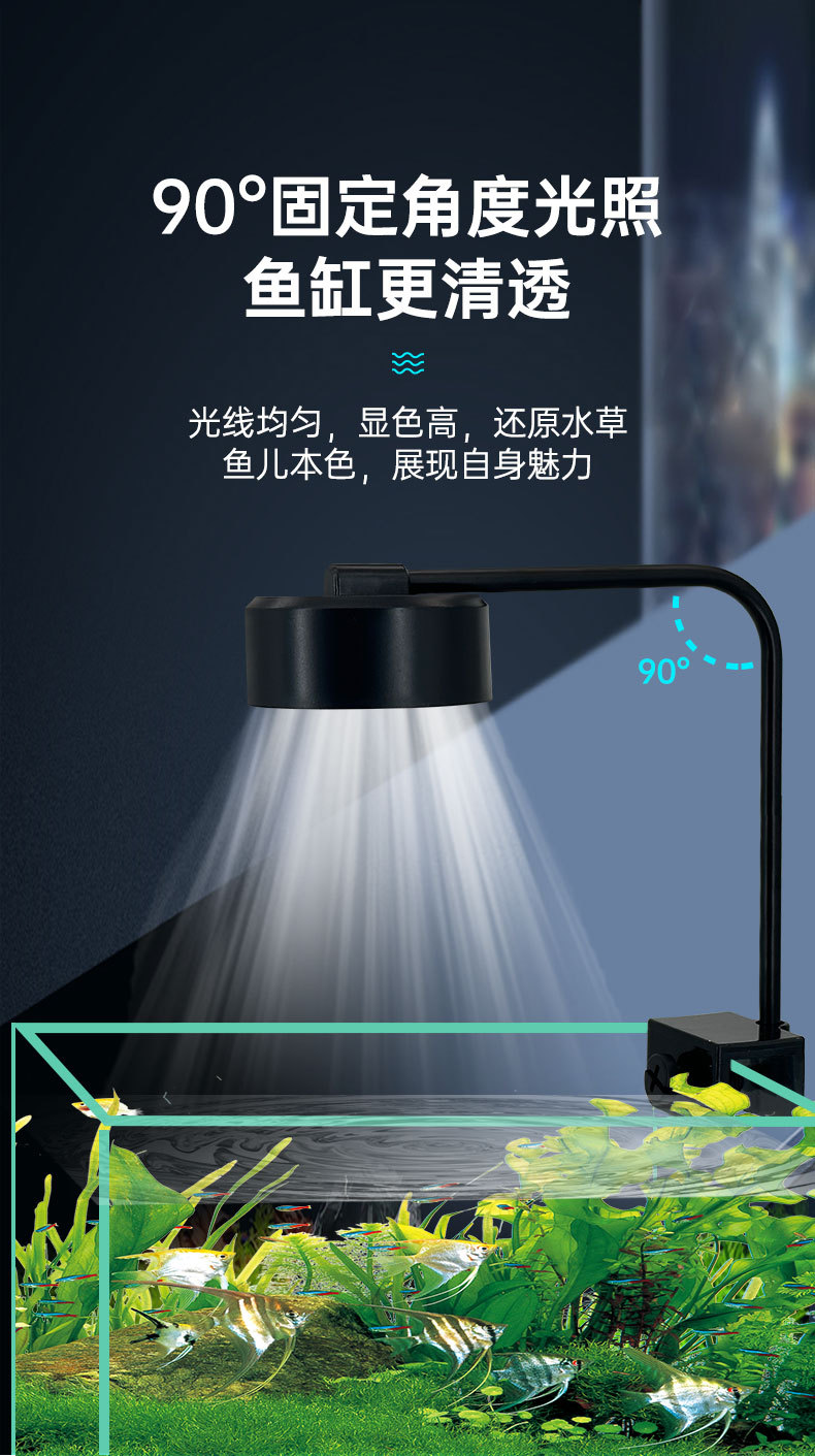 水草灯详情_04.jpg