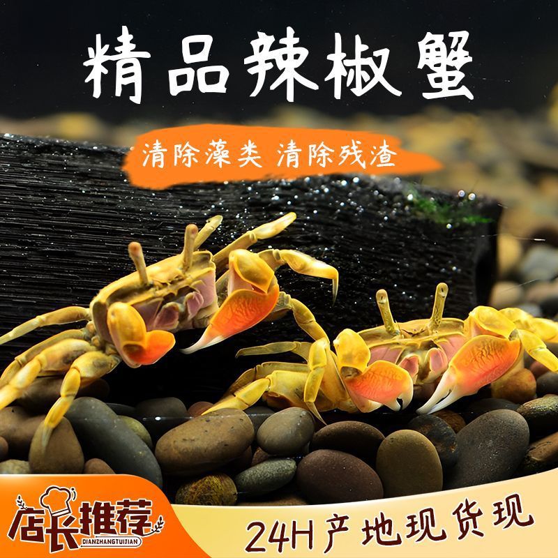 8171c644-0dc0-4946-9470-de14206e2ee8.jpe